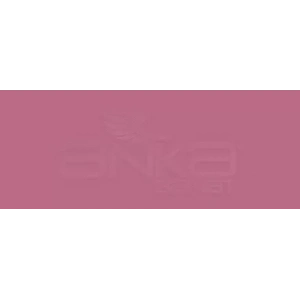 Copic Various Ink Rv66 Raspberry