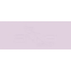 Copic Various Ink RV91 Grayish Cherry