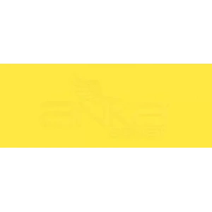 Copic Various Ink Y19 Napoli Yellow