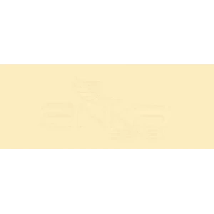 Copic Various Ink Y21 Buttercup Yellow