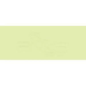 Copic Various Ink YG01 Green Bice