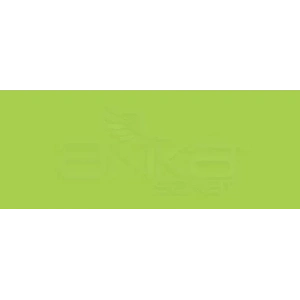 Copic Various Ink Yg07 Acid Green