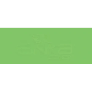 Copic Various Ink Yg09 Lettuce Green