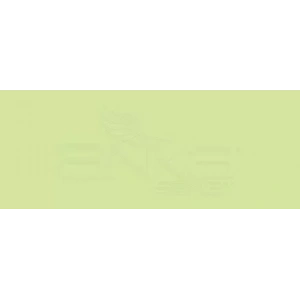 Copic Various Ink YG13 Chartreuse