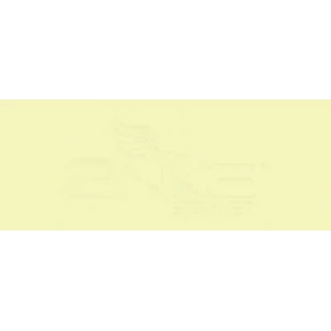 Copic Various Ink YG21 Anise