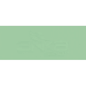 Copic Various Ink YG63 Pea Green