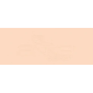 Copic Various Ink Yr01 Peach Puff