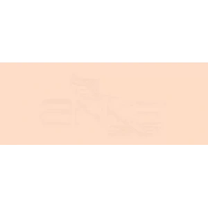 Copic Various Ink YR02 Light Orange