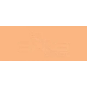 Copic Various Ink Yr15 Pumpkin Yellow