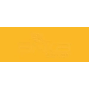 Copic Various Ink Yr16 Apricot