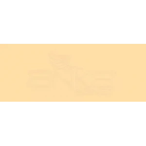 Copic Various Ink Yr31 Light Reddish Yellow