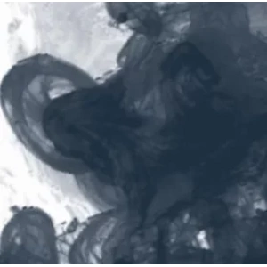 Daler Rowney Fw Acrylic Artist Ink 29.5ml Cam Şişe Paynes Grey 065