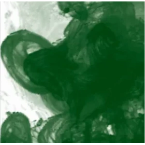 Daler Rowney FW Acrylic Artist Ink 29.5ml Cam Şişe Sap Green 375