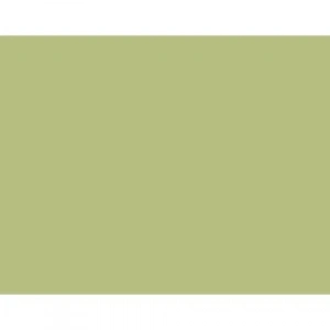 Derwent Drawing Pencil Renkli Çizim Kalemi 4125 Pale Cedar
