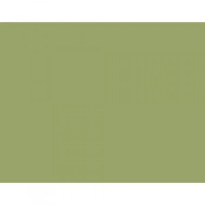 Derwent Drawing Pencil Renkli Çizim Kalemi 5090 Crag Green