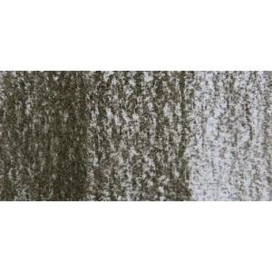 Derwent Tinted Charcoal Sulandırılabilen Renkli Füzen Kalem Tc16 Dark Moss