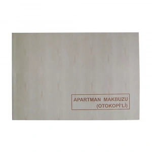 Dilman Apartman Makbuzu Otokopili