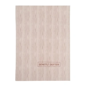 Dilman Senetli Defter Karton Kapak 19.5x27cm 160yp
