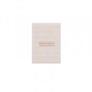 Dilman Serbest Meslek Makbuzu 2/50 3 N Otokopili