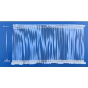 Dostlarımız Hayvanlar