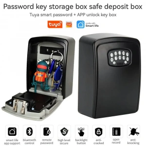 Duvara Monte Anahtar Kutusu Akıllı