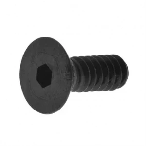 Eastman Taban Vida 20C12-117