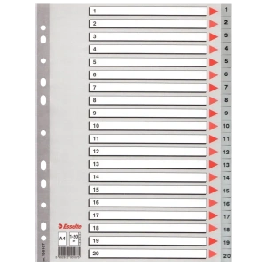 Esselte Seperatör 1-20 Rakamlı Plastik A4 100107