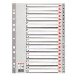 Esselte Seperatör A4 1-20 Rakam