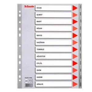 Esselte Seperatör Aylar Plastik A4 13936