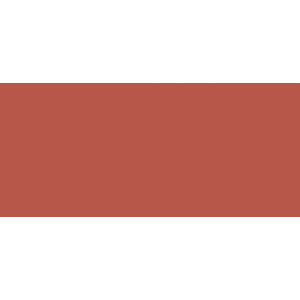 Faber Castell Albrecht Dürer Watercolor Pencil 169 Caput Mortuum