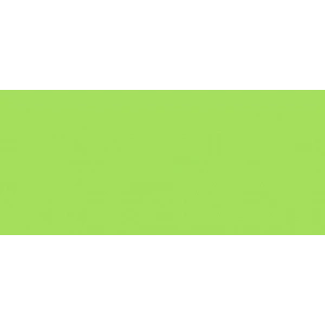 Faber Castell Albrecht Dürer Watercolor Pencil 171 Light Green