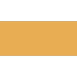 Faber Castell Albrecht Dürer Watercolor Pencil 182 Brown Ochre