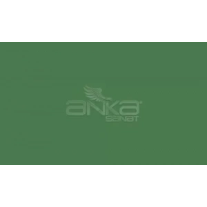 Faber Castell Art&Graphic Polychromos Artist Kuru Boya Kalemi 167 Permanent Green Olive