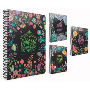 GIPTA BEST NOTES 17x24 120 YP ÇİZGİLİ SPR SERT KPK DEFTER 5083