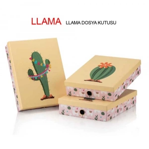 Gıpta Llama Dosya Kutusu llama Dosya Kutusu ORG8844