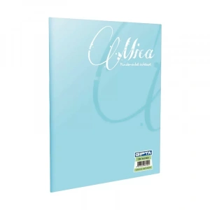 Gıpta Mica Plastik Kapak Defter A4 Çizgili 40 Yaprak (1702)