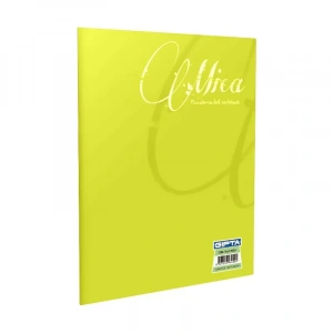 Gıpta Mica Plastik Kapak Defter A5 Çizgili 40 Yaprak (1709)