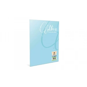 GIPTA MİCA PLASTİK KAPAK DEFTER A5 DÜZ 80 YAPRAK (2974)