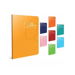 Gıpta Mica Tel Dikişli Plastik Kapak Kareli Defter A4 60 Yaprak