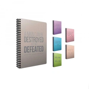 Gıpta Now Spiralli Plastik Kapak Çizgili Defter A4 80 Yaprak