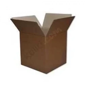 Görünmez Adam  322076