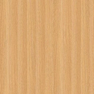 Hafıza Koleksiyoncusu