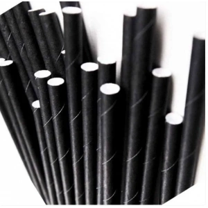 Hijyenik Kağıt Pipet Siyah ( 100 Adet )