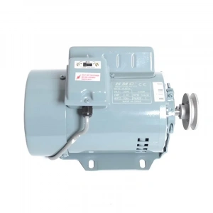 İlik Düğme Makine Motoru 250W 1425R Devir / YL4824