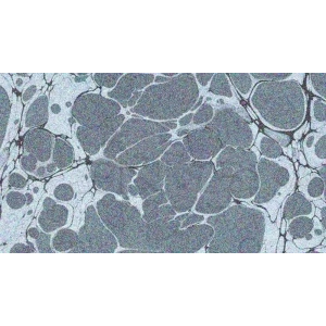 Karin Ebru Boyası Ezilmiş 808 Gümüş 105cc