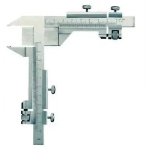 Kedileri Anlama Kılavuzu