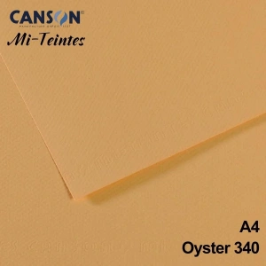 Mi-Teintes 160gr A4 340 Light Hemp 3lü