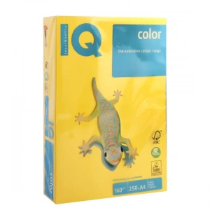 Mondi İQ Renkli Fotokopi Kağıdı A4 160gr Hardal Sarısı 250li (ne1600-ıg50)
