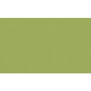 Pebeo Setacolor Opak Kumaş Boyası 83 Olive