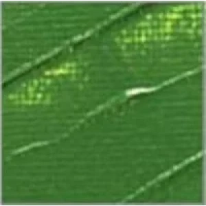 Pebeo Studio Akrilik Boya 500ml No:61 Green Earth